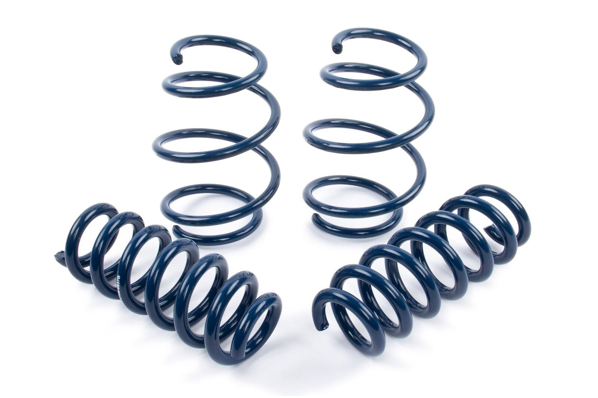 Dinan Performance Spring Set D100-0934 | Pro Speed Racing