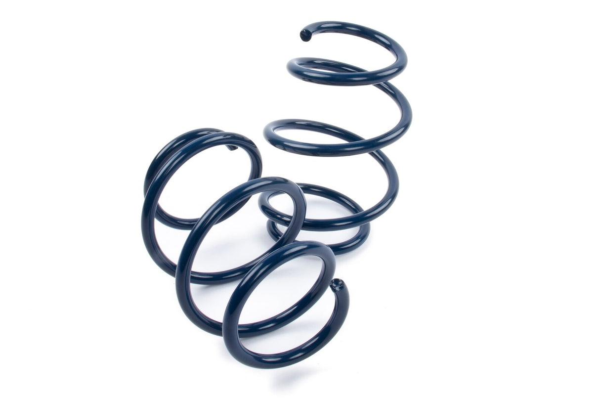 Dinan Performance Spring Set