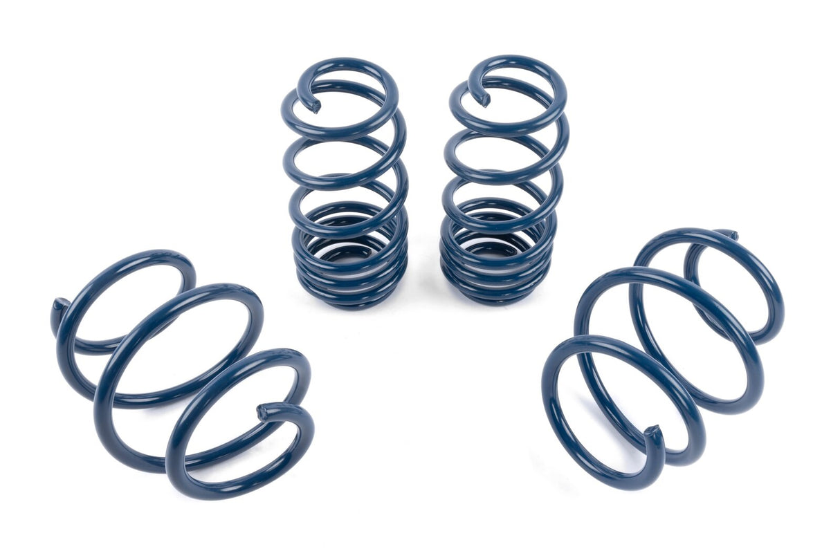 Dinan Performance Spring Set D100-0937 | Pro Speed Racing