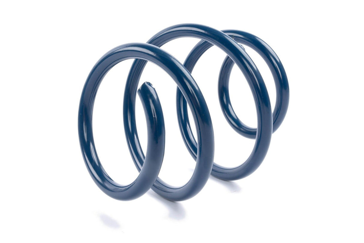 Dinan Performance Spring Set