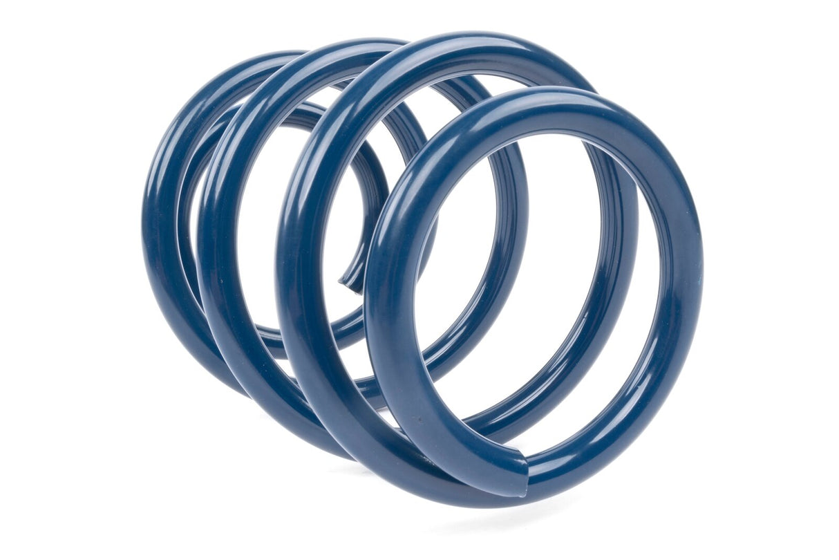 Dinan Performance Spring Set