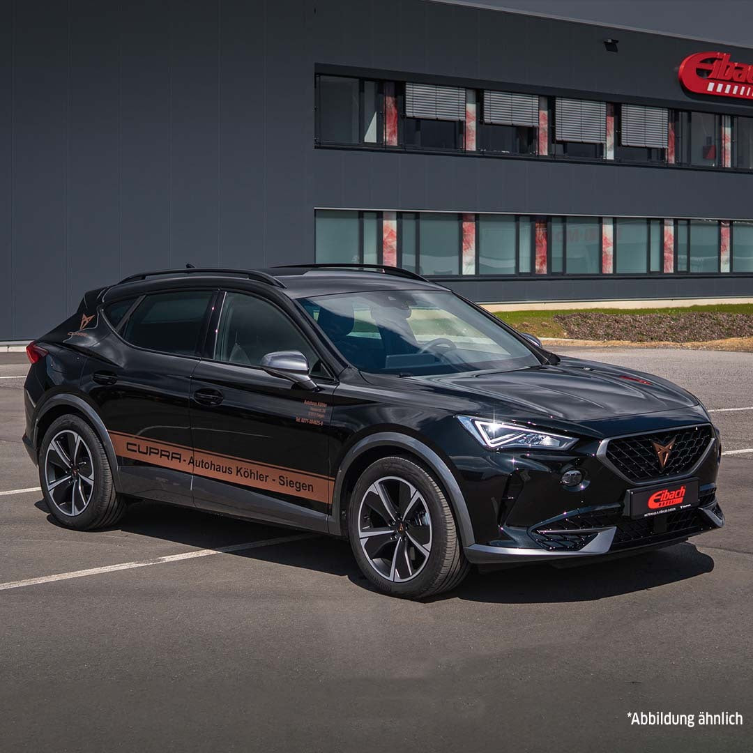 Eibach Pro-Kit Performance Lowering Springs