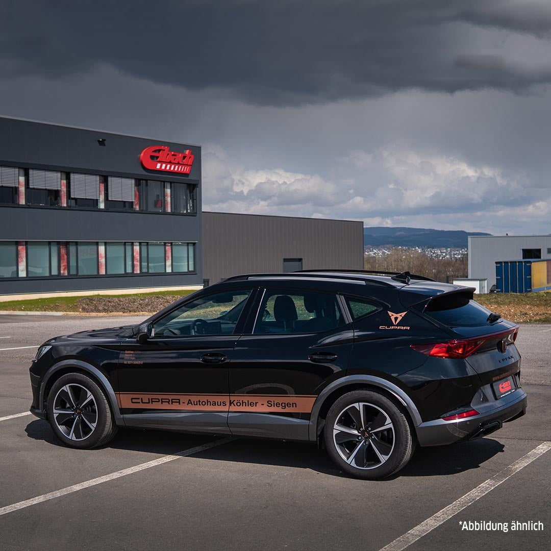 Eibach Pro-Kit Performance Lowering Springs