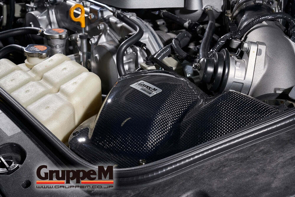GruppeM Carbon Fibre Ram Air Intake System