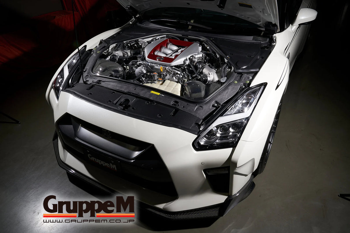 GruppeM Carbon Fibre Ram Air Intake System