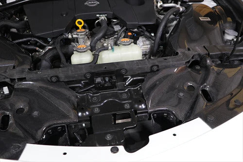 GruppeM Carbon Fibre Ram Air Intake System