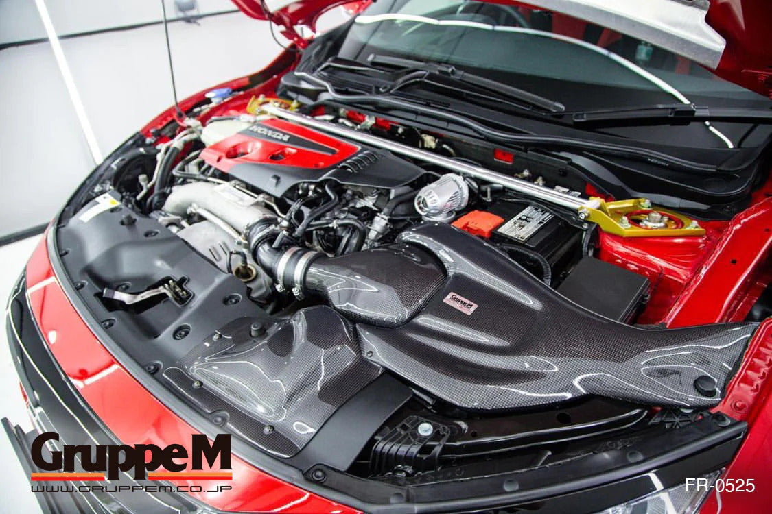 GruppeM Carbon Fibre Ram Air Intake System