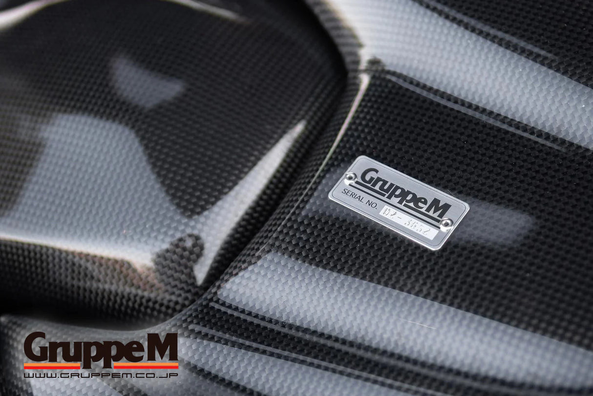 GruppeM Carbon Fibre Ram Air Intake System