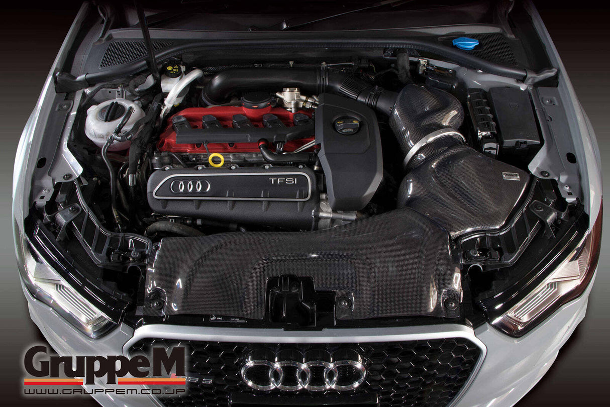 GruppeM Carbon Fibre Ram Air Intake System