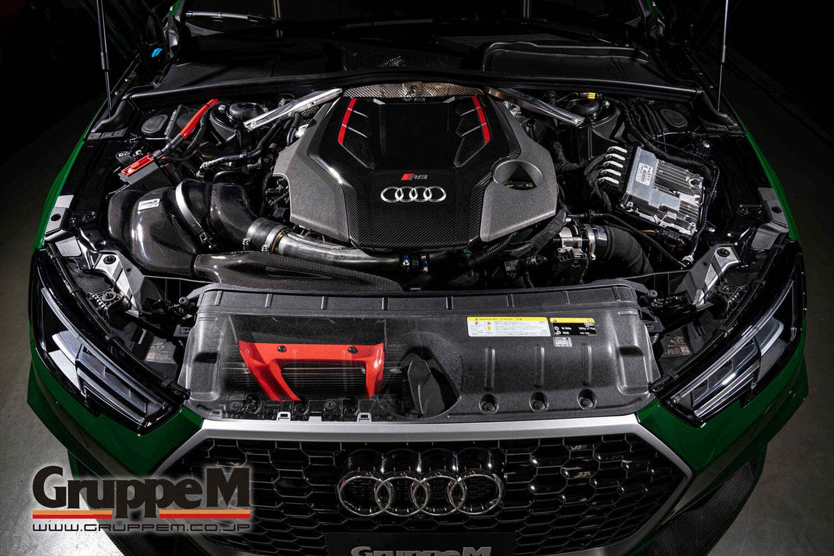 GruppeM Carbon Fibre Ram Air Intake System