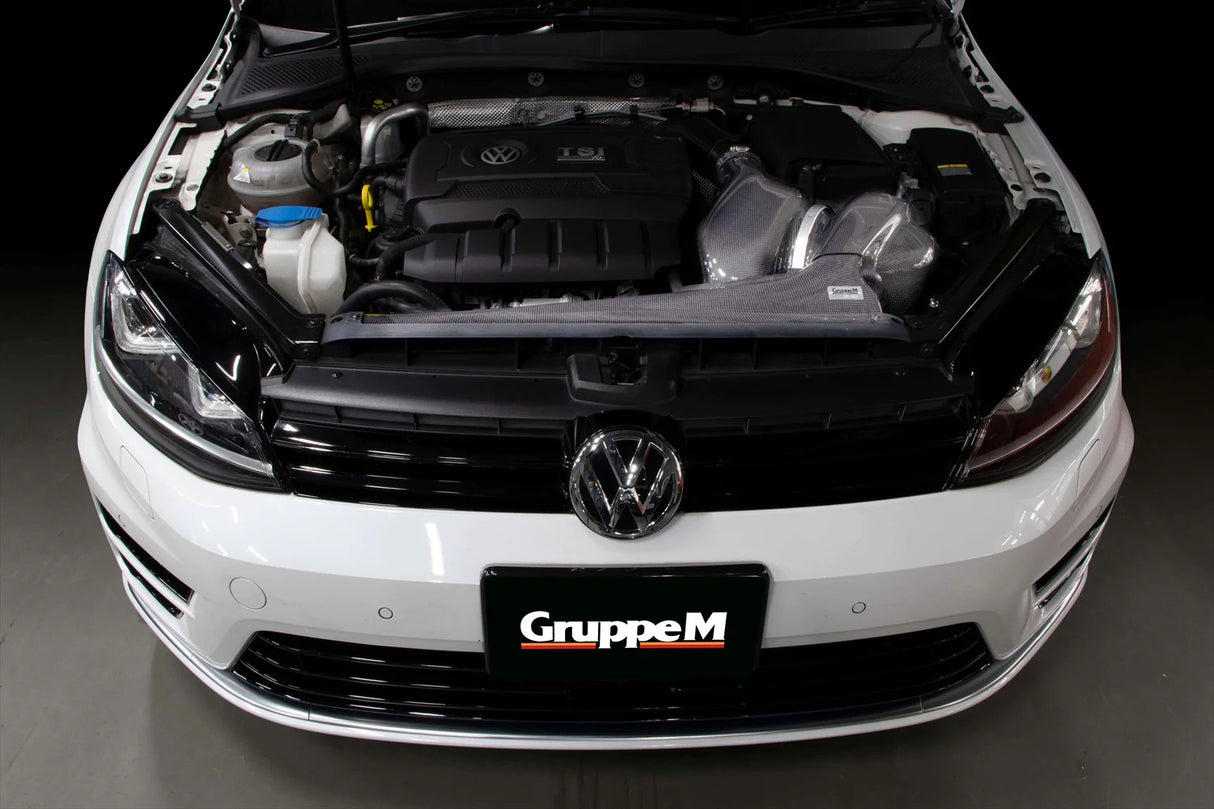 GruppeM Carbon Fibre Ram Air Intake System