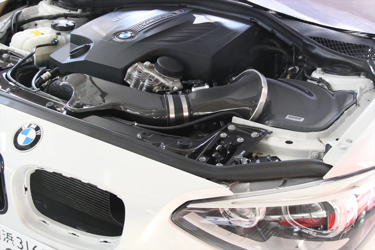GruppeM Carbon Fibre Ram Air Intake System