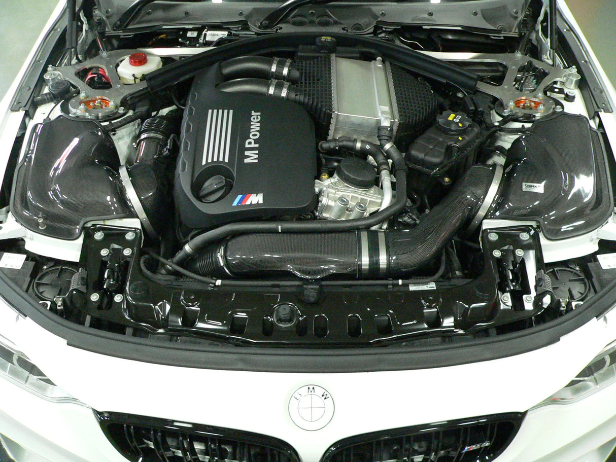 GruppeM Carbon Fibre Ram Air Intake System