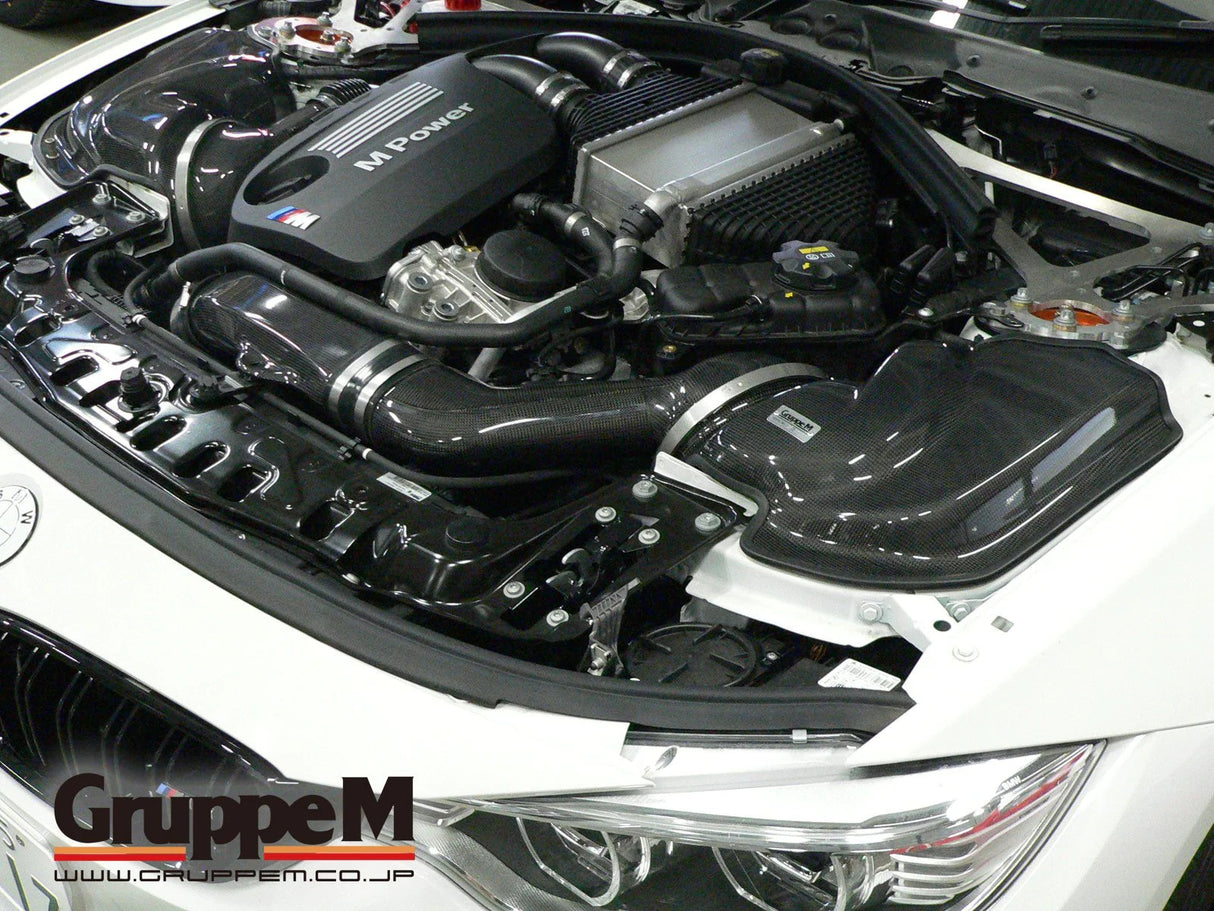 GruppeM Carbon Fibre Ram Air Intake System