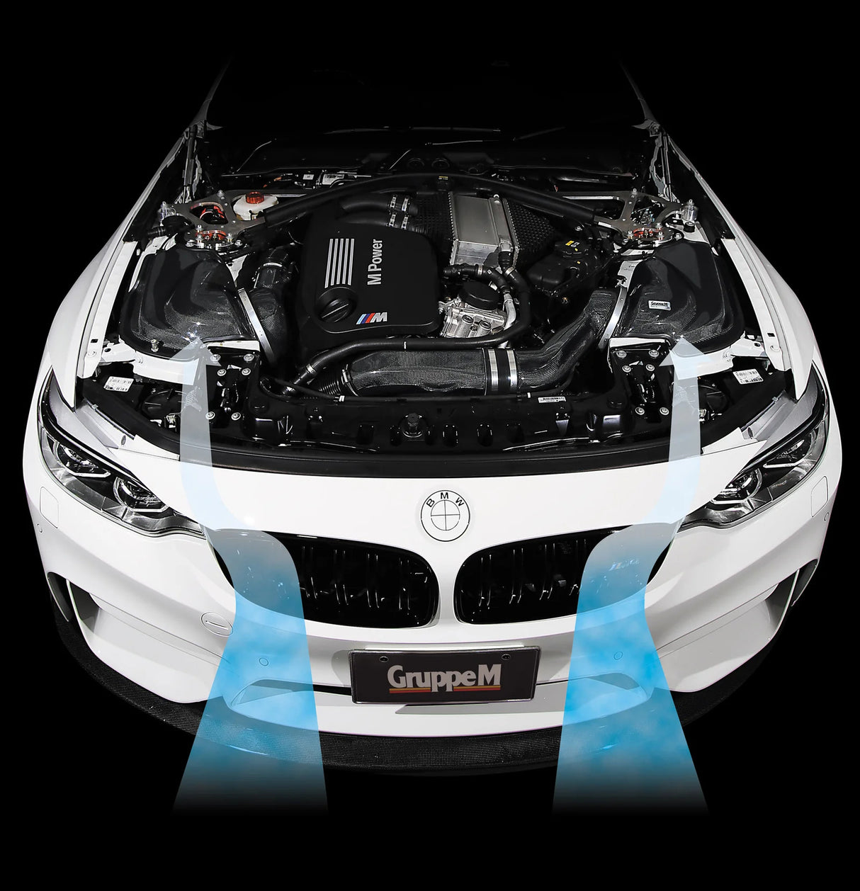 GruppeM Carbon Fibre Ram Air Intake System