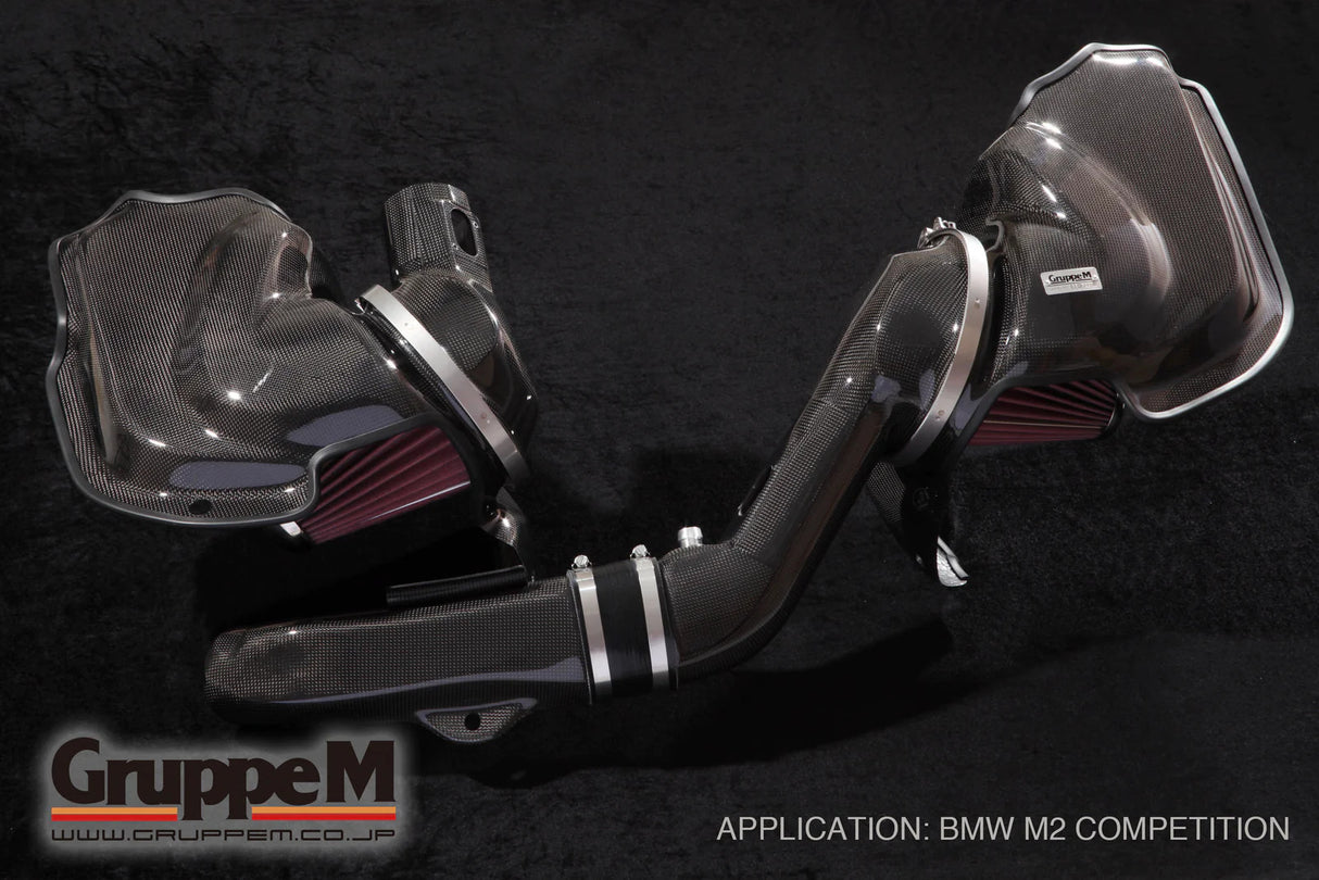 GruppeM Carbon Fibre Ram Air Intake System