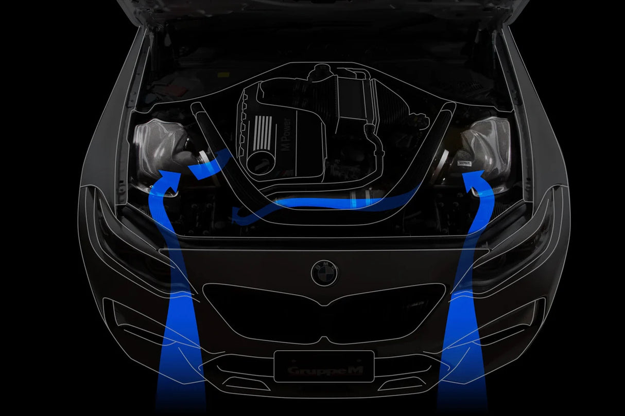 GruppeM Carbon Fibre Ram Air Intake System