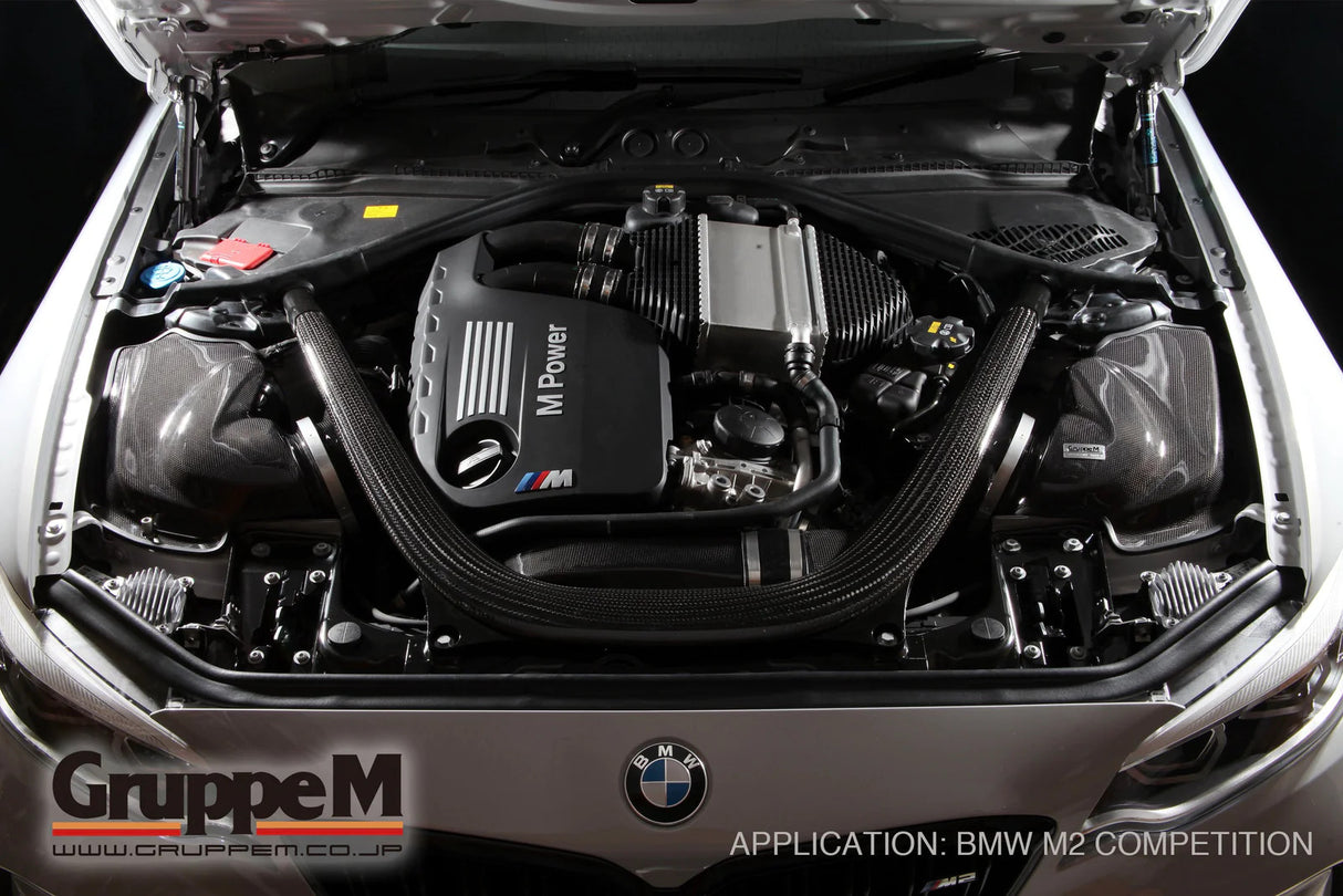 GruppeM Carbon Fibre Ram Air Intake System