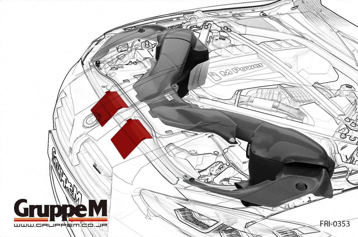 GruppeM Carbon Fibre Ram Air Intake System