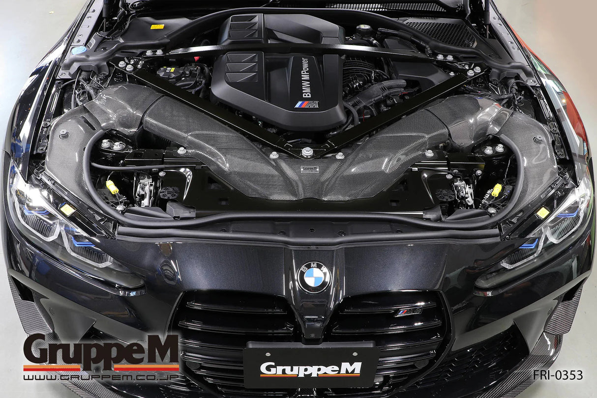 GruppeM Carbon Fibre Ram Air Intake System