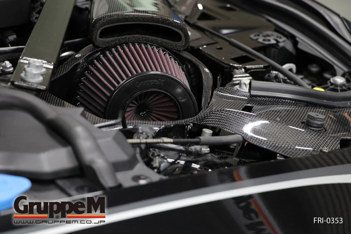 GruppeM Carbon Fibre Ram Air Intake System