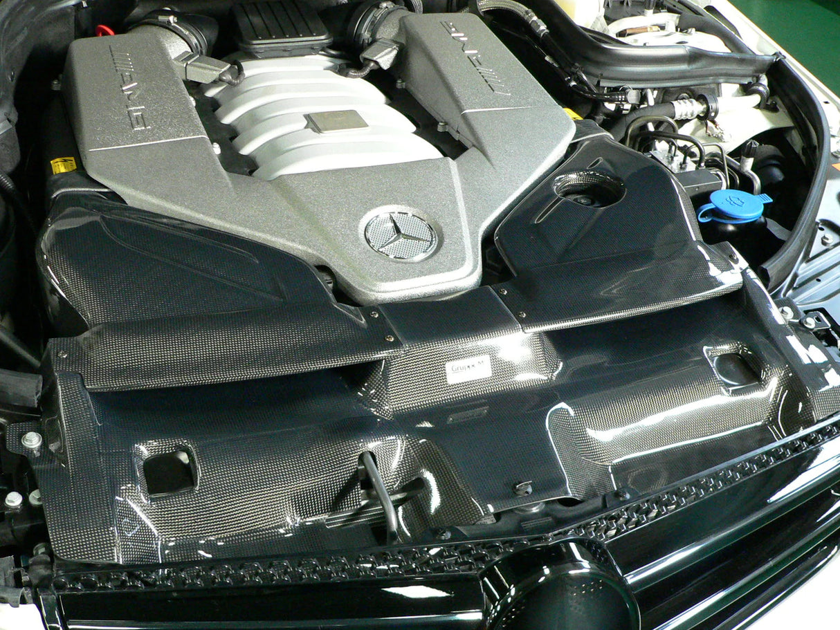 GruppeM Carbon Fibre Ram Air Intake System