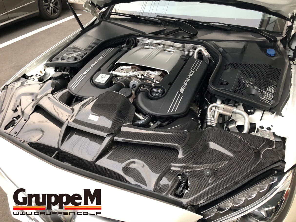 GruppeM Carbon Fibre Ram Air Intake System