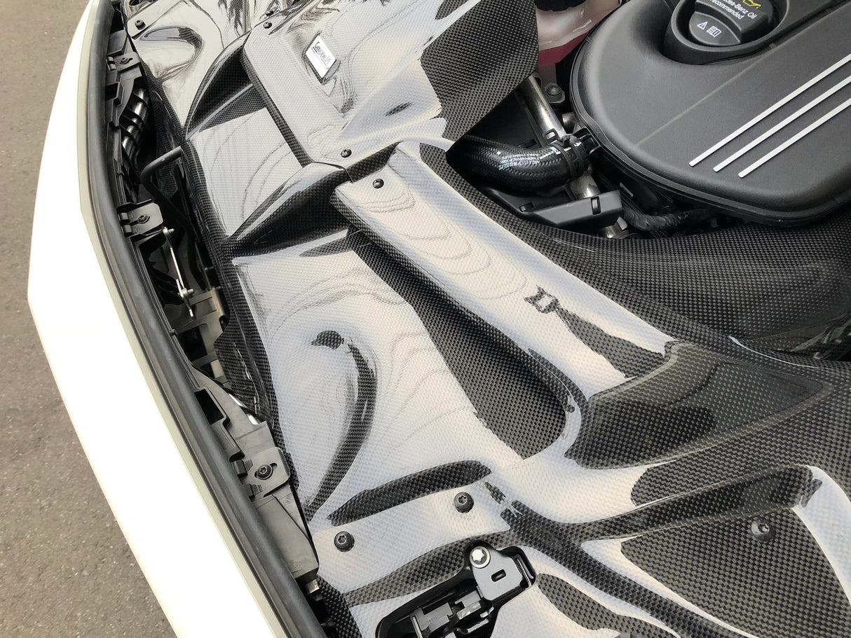 GruppeM Carbon Fibre Ram Air Intake System