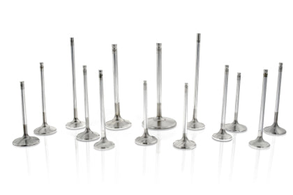 Ferrea Competition Plus +1mm Exhaust Valve Set of 12