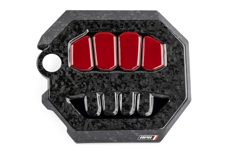 APR Carbon Fibre Engine Cover
