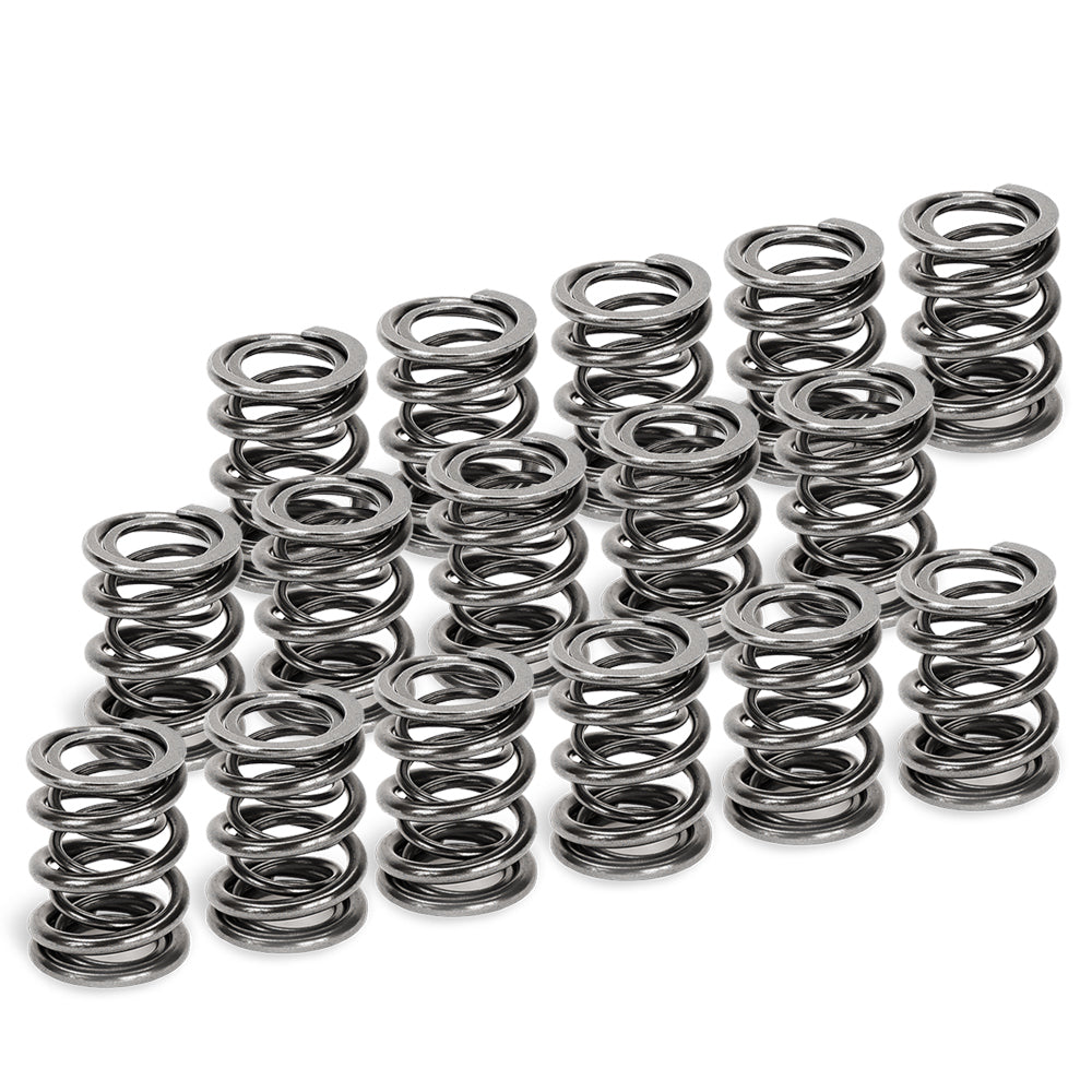 Supertech Dual Valve Spring Kit