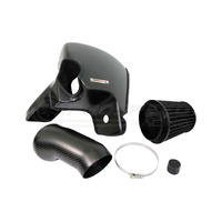 Arma Speed Cold Carbon Intake - Ford Mustang GT FM/FN 15-21