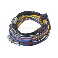 Haltech Elite 550 Basic Universal Wire-In Harness Only - 2.5m