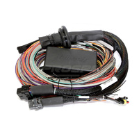 Haltech Elite 1000 Premium Universal Wire-In Harness Only - 2.5m