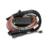 Haltech Elite 2500/2500T Premium Universal Wire-In Harness Only - 2.5m
