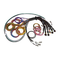 Haltech NEXUS R5 Basic Universal Wire-In harness - 2.5m