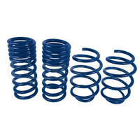 Ford Performance Street Lowering Springs - Ford Mustang GT/Ecoboost 15-21
