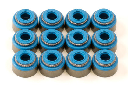 GSC Viton Valve Stem Seals