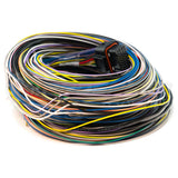 Link ECU B Loom Long - #5LB 101-0009 | Pro Speed Racing