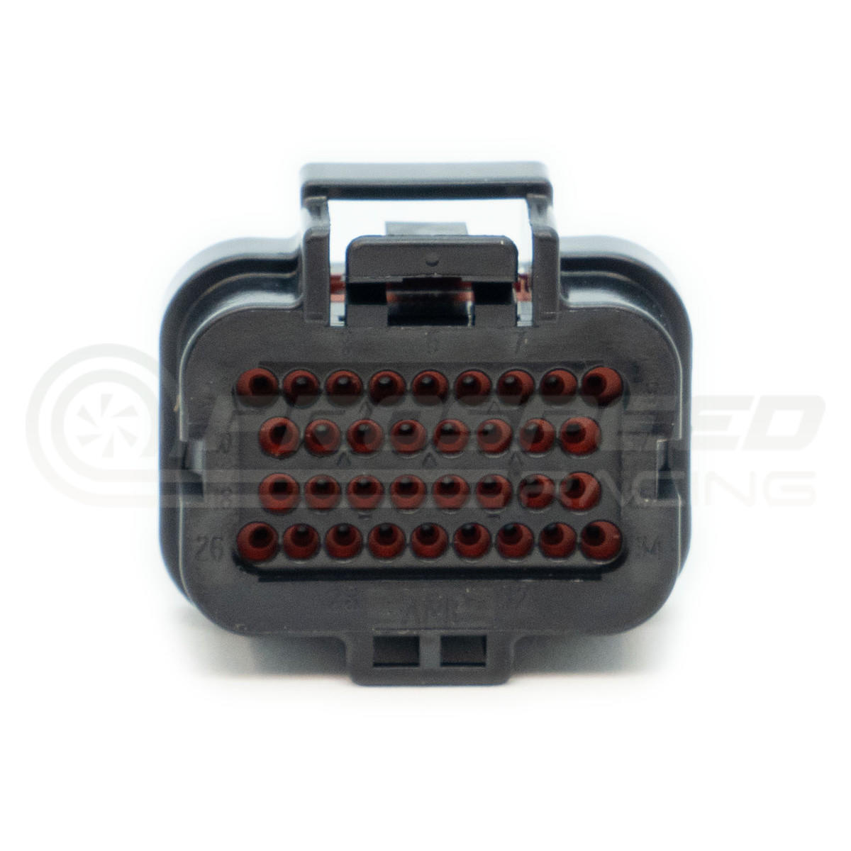 Link ECU B Loom Long - #5LB