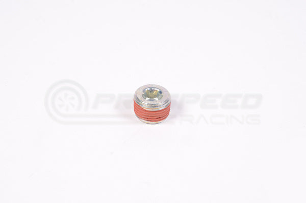 Radium NPT Round Internal Hex Plug