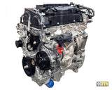 Mountune High Performance N1 K20C1 2.0L Long Block