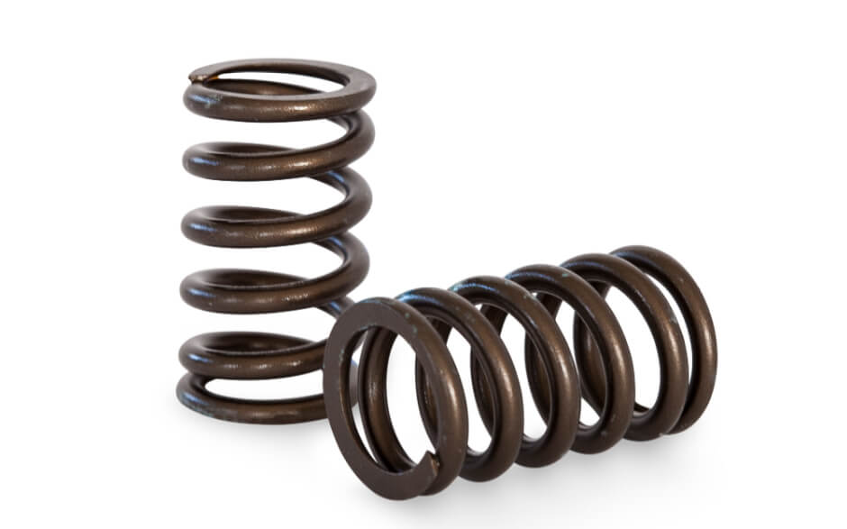 Kelford Valve Spring Kit