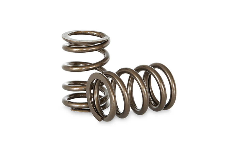 Kelford Valve Spring Kit