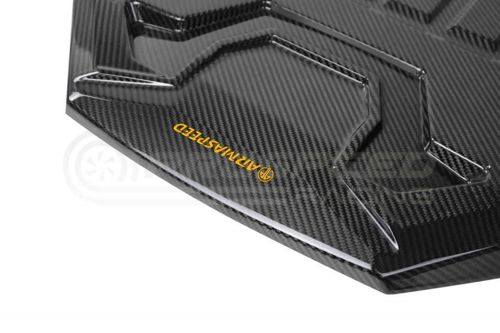 Armaspeed Carbon Fibre Engine Cover Black