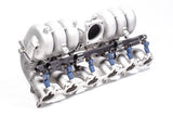 Radium Engineering Fuel Rail