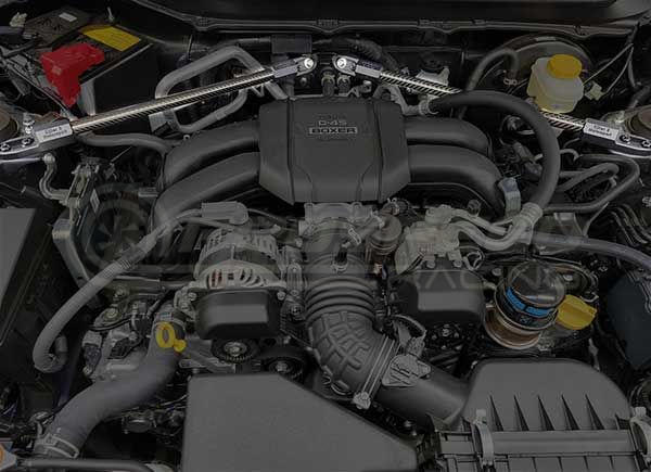 Killer B Carbon Fibre Engine Bay Strut Braces