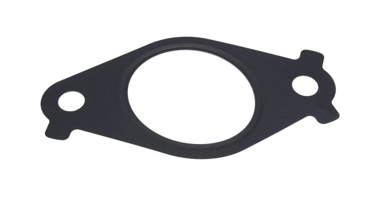 PAT EGR Cooler Gasket