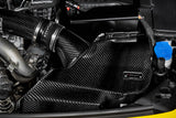 Eventuri Carbon Fibre Intake System