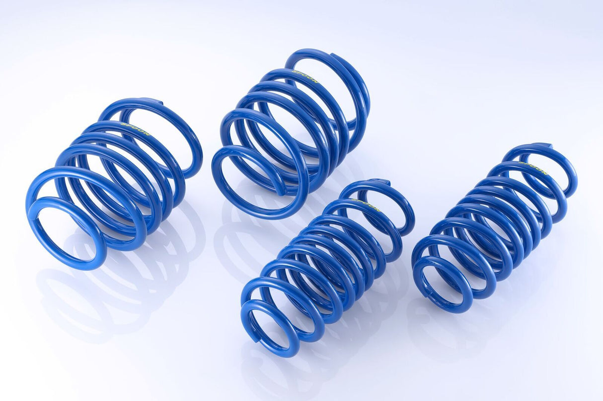 Spoon Sports Progressive Lowering Springs 51400-FK8-001 | Pro Speed Racing